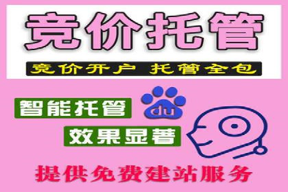 百度推广服务费案例：打造差异化竞争优势